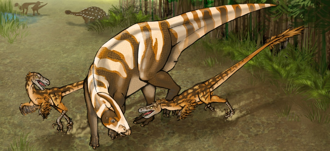saurornitholestes sullivani